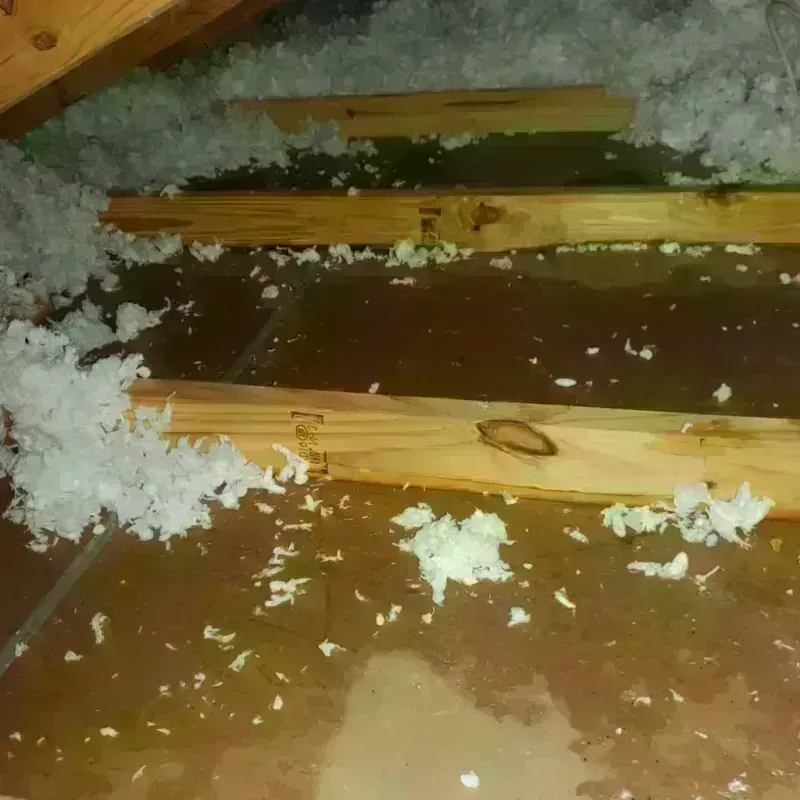 Attic Water Damage in Montour County, PA